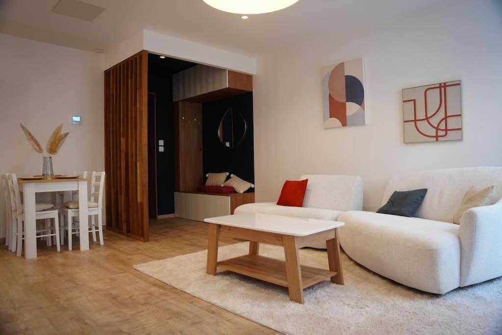 Bel Appartement Centre-Ville Saint-Etienne  Extérieur photo